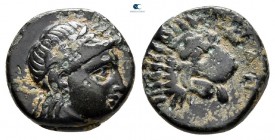Troas. Antandros circa 350-250 BC. Bronze Æ
