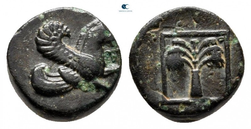 Troas. Skepsis circa 400-310 BC. 
Bronze Æ

8 mm., 0,76 g.



very fine
