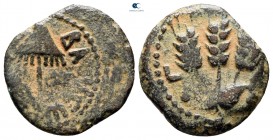 Judaea. Jerusalem. Herodians. Agrippa I CE 37-43. Dated RY 6 = CE 41/2. From the Tareq Hani collection. Prutah Æ