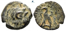 Ptolemaic Kingdom of Egypt. Kyrene mint. Kleopatra III and Ptolemy IX Soter II (Lathyros) 116-107 BC. From the Tareq Hani collection. Chalkous Æ