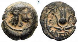 Ptolemaic Kingdom of Egypt. Kyrene mint. Ptolemy Apion, King of Kyrenaika 104-96 BC. From the Tareq Hani collection. Chalkous Æ