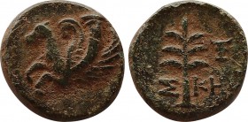 GREEK COINS
AE-13. 350-310 a.C. SKEPSIS. TROAS. Anv.: Prótomo de Pegaso a izquierda. Rev.: ¶- K (H). Abeto dentro de cuadrado. 1,99 gr. 12,9mm AE. Pá...