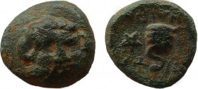 Greek
MYSIA. Pitane. 4th-3rd century BC. (Bronze, 11.5 mm, 2.33 g, 12 h).12,7mm Head of Zeus-Ammon facing slightly to right. Rev. ΠΙ-ΤΑ-ΝΑΙΩΝ Coiled s...