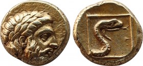 Lesbos, Mytilene EL Hekte. Circa 375-326 BC. Laureate head of Zeus right / Forepart of serpent right in linear square, all within incuse square. Boden...
