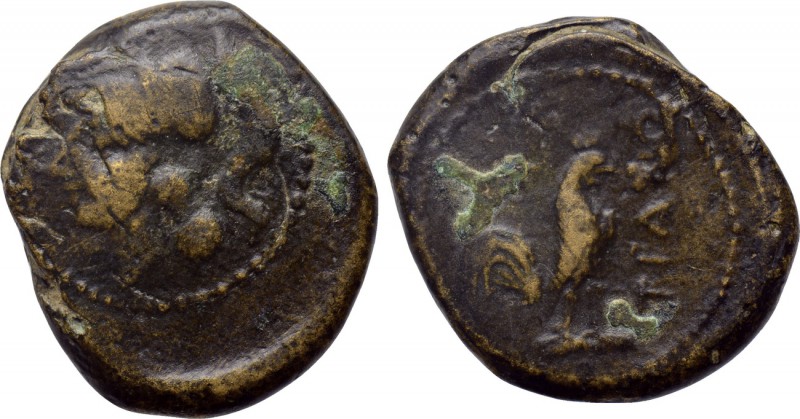 CAMPANIA. Teanum Sidicinum. Ae (Circa 265-240 BC). 

Obv: Helmeted head of Min...