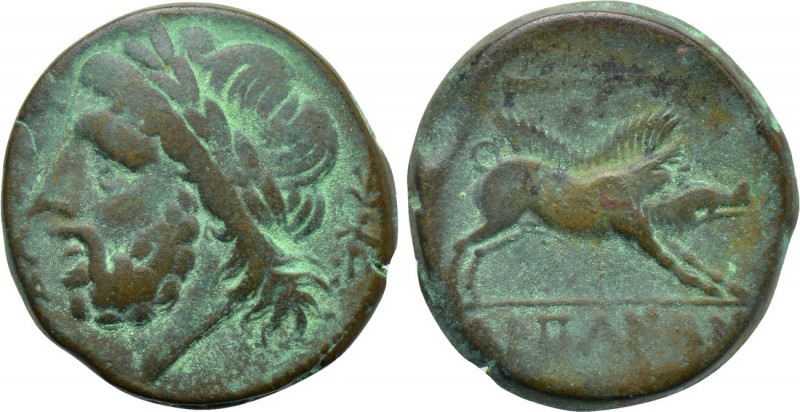 APULIA. Arpi. Ae (Circa 325-275 BC). 

Obv: ΔΑΖΟΥ. 
Laureate head of Zeus lef...