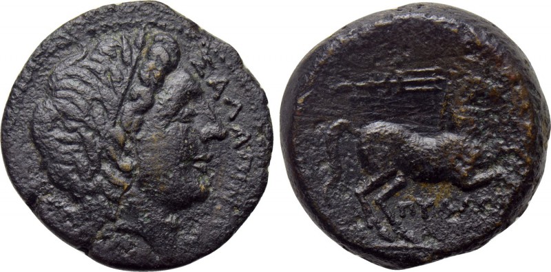 APULIA. Salapia. Ae (Circa 225-210 BC). Pyllos, magistrate. 

Obv: ΣΑΛΑΠΙΝΩΝ. ...