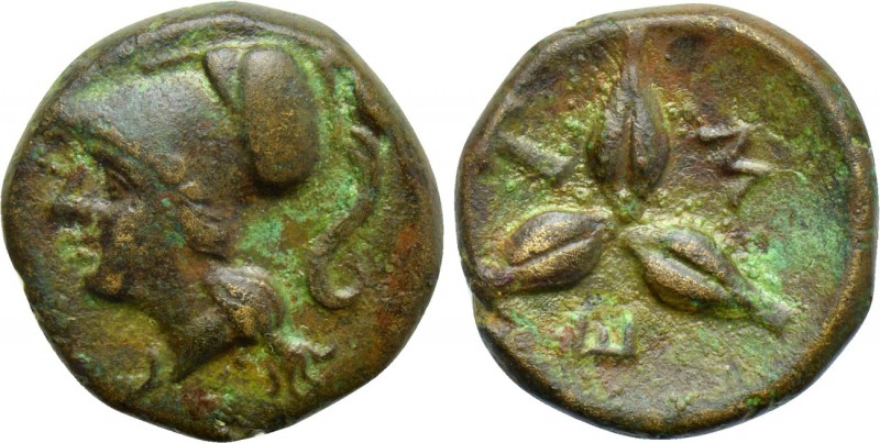 LUCANIA. Metapontion. Ae (Circa 300-250 BC). 

Obv: Helmeted head of Athena le...