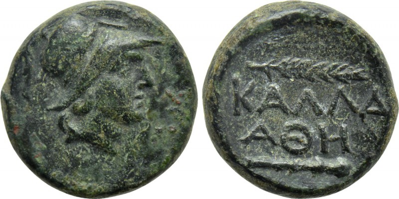 MOESIA. Kallatis. Ae (3rd-2nd centuries BC). 

Obv: Helmeted head of Athena ri...