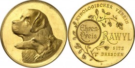 GEWERBE, HANDEL, INDUSTRIE. 
TIERZUCHT u. -MOTIVE. 
HUNDE. DRESDEN. Prämienmedaille o.J. (b.&nbsp;Diller) Ehrenpreis d.&nbsp;Kynologischen Vereins "...