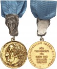 DEUTSCHLAND. 
BUNDESREPUBLIK DEUTSCHLAND. 
Goethe- Medaille, seit 1975 offiz.Orden der BRD 4. Fassung seit 2003 (v.Szymanski) Kopf r. / FÜR / VERDIE...