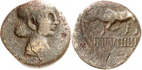 GERMANIEN. 
TREVERER. 
Germanus Indutilli L(ibertus) um 10 v.Chr. AE-Quadrans 18mm 2,45g. Unbärtiger Kopf m. Diadem n.r. / GERMANVS - INDVTILLI L St...
