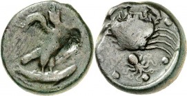 SIZILIEN. 
AKRAGAS (Agrigento). 
AE-Hemilitron 28mm (425/406 v.Chr.) 24,03g. Adler mit zurückgewendetem Kopf steht auf Thunfisch n.r. / Krabbe über ...