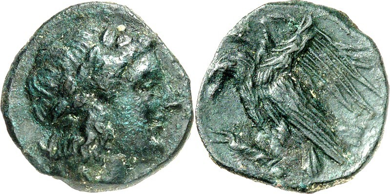 SIZILIEN. 
AKRAGAS (Agrigento). 
AE- 20mm (278/276 v.Chr.) 4,32g. Kopf des Apo...