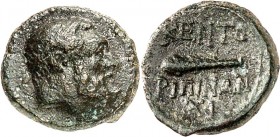 SIZILIEN. 
KENTURIPE (Centorbi). 
AE-13/12mm (seit 241 v.Chr.) 2,25g. Bärtiger Kopf des Herakles n.r. / KENTO-RIPINWN in 2 Zeilen, dazwischen Keule,...