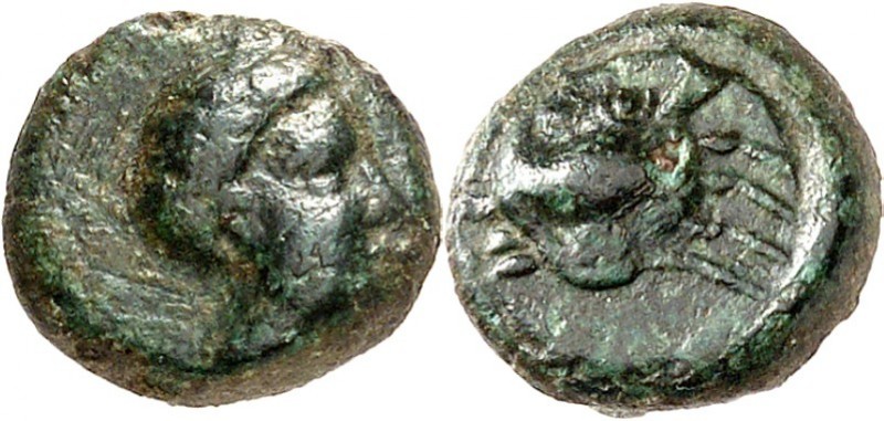 SIZILIEN. 
MOTYA. 
AE-10mm um 400/340 v.Chr. Jünglingskopf n. r. / Krabbe. SNG...