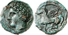 SIZILIEN. 
PANORMOS (Palermo). 
AE- 16mm (vor 254 v.Chr.) 1,99g, Belorbeerter Apollokopf n.l., dahinter Delfin / Pegasos fliegt n.l., darunter punis...