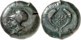 SIZILIEN. 
SYRAKUS (Siracusa). 
AE-Uncia 30/29mm (400/367 v.Chr.) 36,18g. Athenakopf n.l. [ S] VPA / Kompassqualle zw. 2 Delfinen. SNG ANS&nbsp; 454...