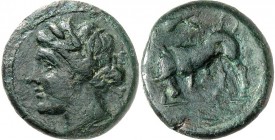 SIZILIEN. 
TAUROMENION (Taormina). 
-400--216. AE-Litra 16mm (315-212 v.Chr.) 4,22g. Belorb. Apollokopf n. l. / Bulle scharrt n.l. Calciati 7. . 
...