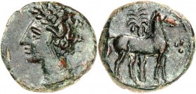 SIZILIEN. 
SIKILOPUNIER. 
AE-15mm (310/290 v.Chr.) 2,16g. Kopf der Tanit mit Ährenkranz n.l. / Pferd steht n.r. vor Dattelpalme, r. im Feld 3 Punkte...