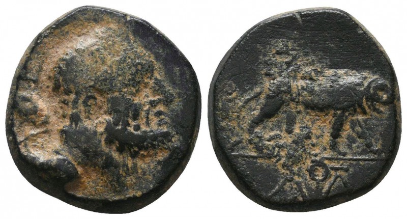 KINGS OF GALATIA. Amyntas (36-25 BC). Ae.
Obv: Head of Herakles right, with club...
