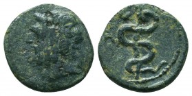 MYSIA, Pergamon. Ca. 200-113 B.C. AE.

Condition: Very Fine

Weight: 1,9
Diameter: 14,7