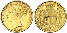Gran Bretaña. 1864. Victoria. 1 libra. (Fr. 387i) (Kr. 736.1). Tipo "escudo". Rayitas. AU. 7,91 g. MBC/MBC+.