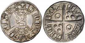 Jaume II (1291-1327). Barcelona. Croat. (Cru.V.S. 338.1) (Badia 121) (Cru.C.G. 2155). Flores de seis, cuatro y seis pétalos en el vestido. Atractiva. ...