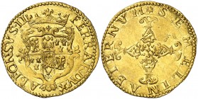 Italia. s/d (1576). Alfonso II d'Este (1559-1597). Ferrara. 1 escudo de oro. (Fr. 272) (Kr. falta) (MIR. 305). Bella. Rara y más así. AU. 3,29 g. EBC....