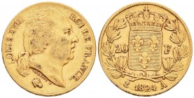 20 Francs AV
Louis XVIII (1814-1824)
21 mm, 6,45 g
