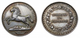 Medal Zn
Verdienstmedaille des Hannoverschen Gartenbau Vereins
41 mm, 24 g