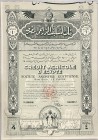 Egypt Cairo Share 4 Livres 1934 "Crédit Agricole D'Egypte"
# 08056; Capital: 1000000 Livres in 250000 Shares of 4 Livres; UNC
