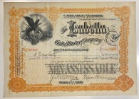 United States Colorado Isabella Gold Mining Company Share 500 Shares 1898 
Canceled Note; #16163