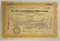 United States Delaware St. Joe Consoldated Mines Corp. Share 100 Shares 1934 
Canceled; # TC517