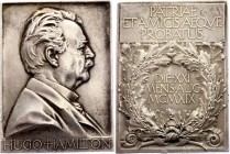 Sweden Silver Plaquette Medal "Hugo Hamilton, Minister for Civil Affairs" 1920 
Silver 93.3g 67x47mm; By Lindberg