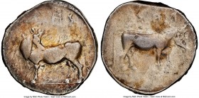 LUCANIA. Laus. Ca. 480-460 BC. AR stater (18mm, 7.74 gm, 1h). NGC Choice Fine 5/5 - 3/5. ΛAS, man-faced bull standing left, head reverted / ΛAS, man-f...