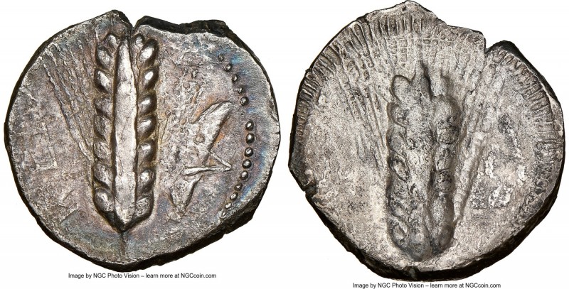 LUCANIA. Metapontum. Ca. 470-440 BC. AR stater (23mm, 7.69 gm, 11h). NGC XF 4/5 ...