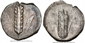 LUCANIA. Metapontum. Ca. 470-440 BC. AR stater (23mm, 7.69 gm, 11h). NGC XF 4/5 - 2/5. MET (on left, retrograde), eight-grained barley ear; grasshoppe...
