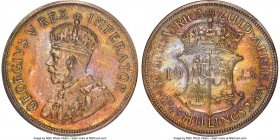 George V Proof 2-1/2 Shillings 1923 PR64 NGC, KM19.1. Autumnal hues flood the pewter surfaces of this Proof specimen.

HID09801242017

© 2020 Heri...