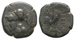 Northern Campania, Cales, c. 265-240 BC. Æ (19.5mm, 6.63g, 6h). Helmeted head of Athena l. R/ Cock standing r.; star to l. Sambon 916; HNItaly 435; SN...