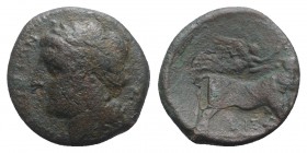Northern Campania, Campania, Suessa Aurunca, c. 265-240 BC. Æ (20mm, 4.60g, 12h). Laureate head of Apollo l. R/ Man-headed bull standing r.; above, Ni...