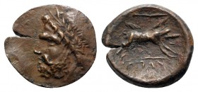 Northern Apulia, Arpi, 3rd century BC. Æ (21mm, 5.52g, 6h). Laureate head of Zeus l. R/ Boar r.; spear above. HNItaly 642; SNG ANS 635-8. Brown patina...