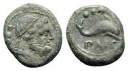 Northern Lucania, Paestum, 218-201 BC. Æ Quadrans (16mm, 4.04g, 9h). Diademed male head r. R/ Dolphin r. Crawford, Paestum 6/2; HNItaly 1197. Green pa...
