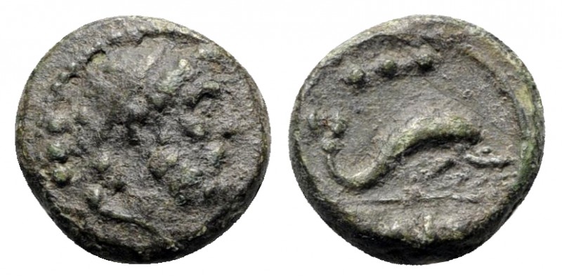 Northern Lucania, Paestum, Æ Quadrans (15mm, 3.27 g, 6h). Diademed male head r. ...