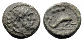 Northern Lucania, Paestum, Æ Quadrans (15mm, 3.27 g, 6h). Diademed male head r. R/ Dolphin r. Crawford, Paestum 6/2; HNItaly 1197. Crawford, Paestum 6...