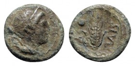 Northern Lucania, Paestum, after 211 BC. Æ Uncia (10mm, 1.84g, 6h). Wreathed head of Demeter r.; pellet behind. R/ Grain ear; caduceus and pellet to l...