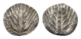 Southern Lucania, Metapontion, c. 540-510 BC. AR Obol (9mm, 0.40g, 12h). Ear of barley with six grains. R/ Incuse ear of barley with six grains. Noe C...