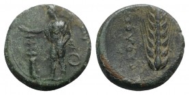 Southern Lucania, Metapontion, c. 425-350 BC. Æ (20mm, 6.40g, 11h). Hermes standing l., holding patera over thymiaterion and caduceus; EY and O to r. ...