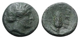 Southern Lucania, Metapontion, c. 300-250 BC. Æ (14mm, 2.62g, 12h). Wreathed head of Demeter r., wearing earring and necklace. R/ Grain ear with leaf ...