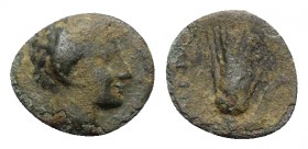 Southern Lucania, Metapontion, c. 300-250 BC. Æ (10mm, 0.76g, 11h). Head of Apollo Karneios r. R/ Grain ear with leaf to r.; fly(?) above leaf. Johnst...